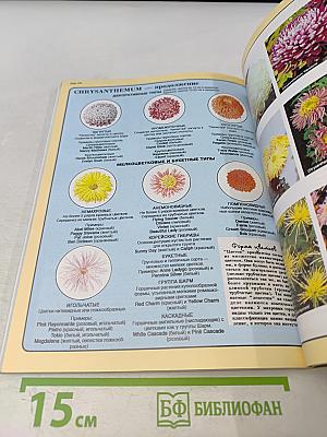 Все о цветах в вашем саду