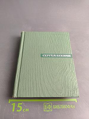 Собрание сочинений. Том первый. Стихотворения и поэмы (1910—октябрь 1917)