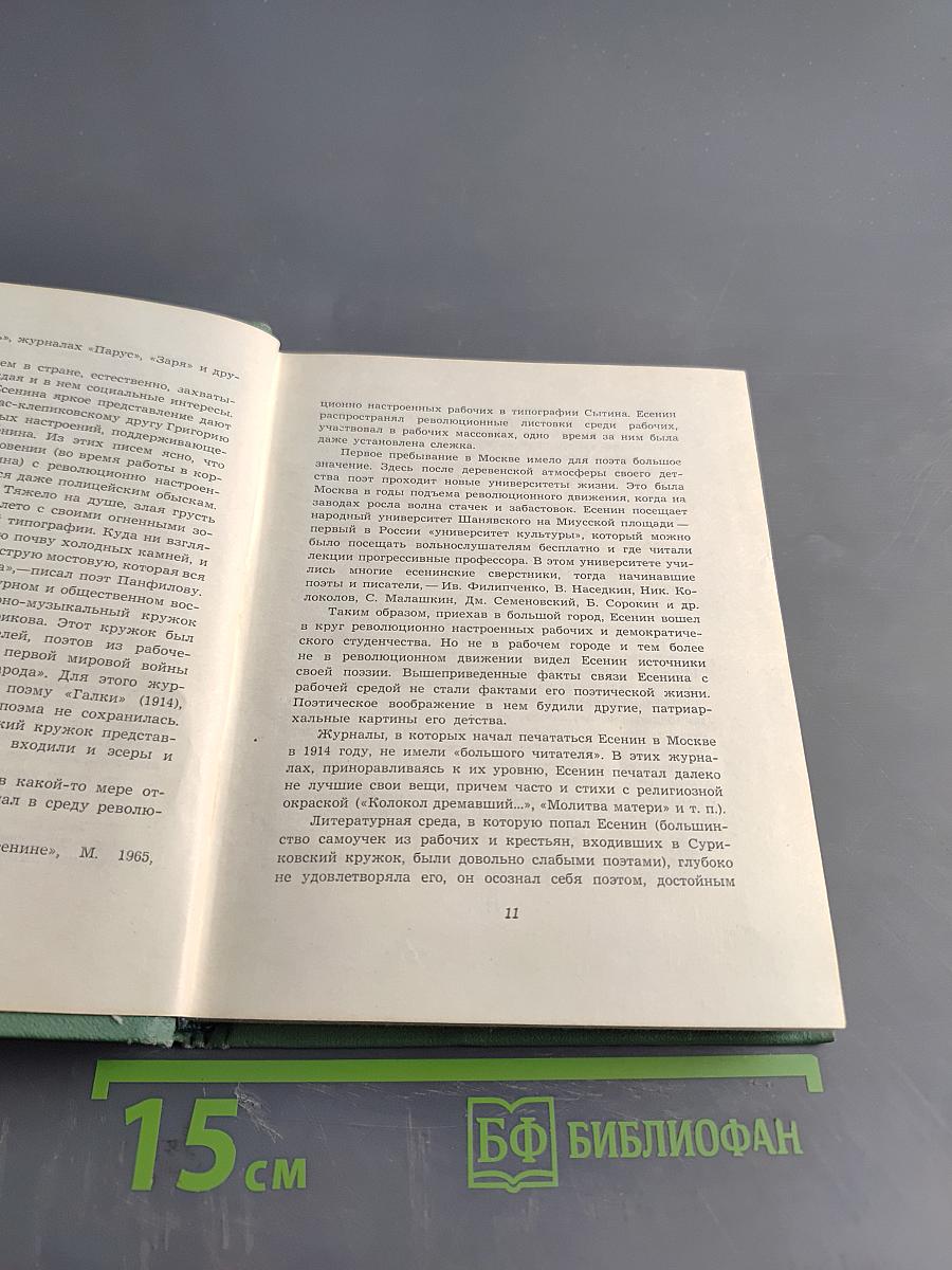 Собрание сочинений. Том первый. Стихотворения и поэмы (1910—октябрь 1917)