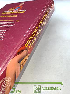 Большая школьная энциклопедия. Том 2. Гуманитарные науки