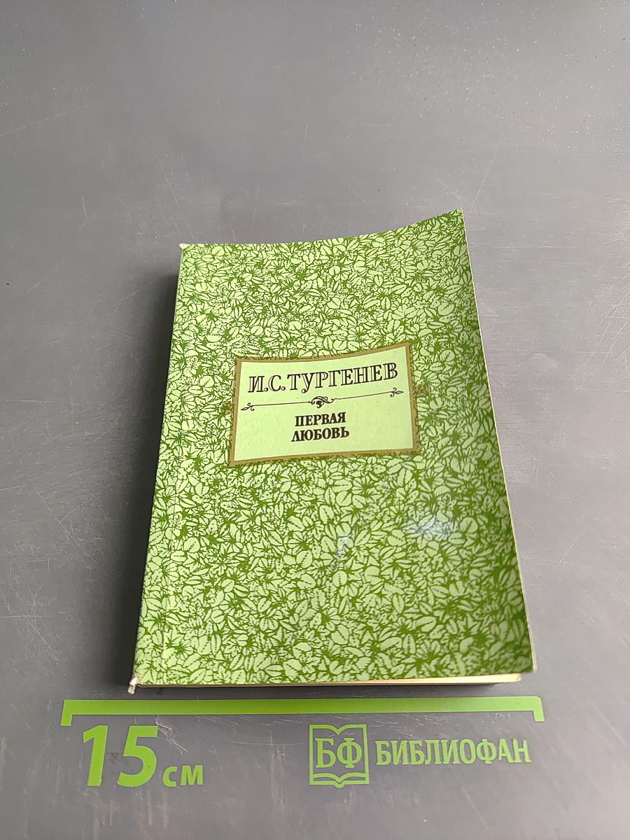 Первая любовь