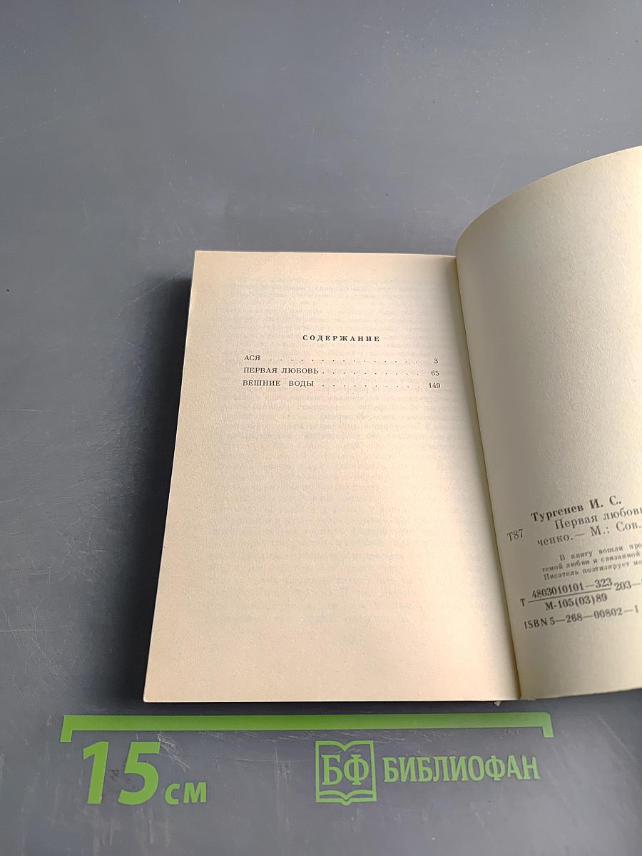 Первая любовь