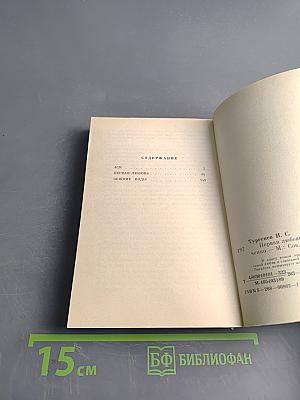 Первая любовь