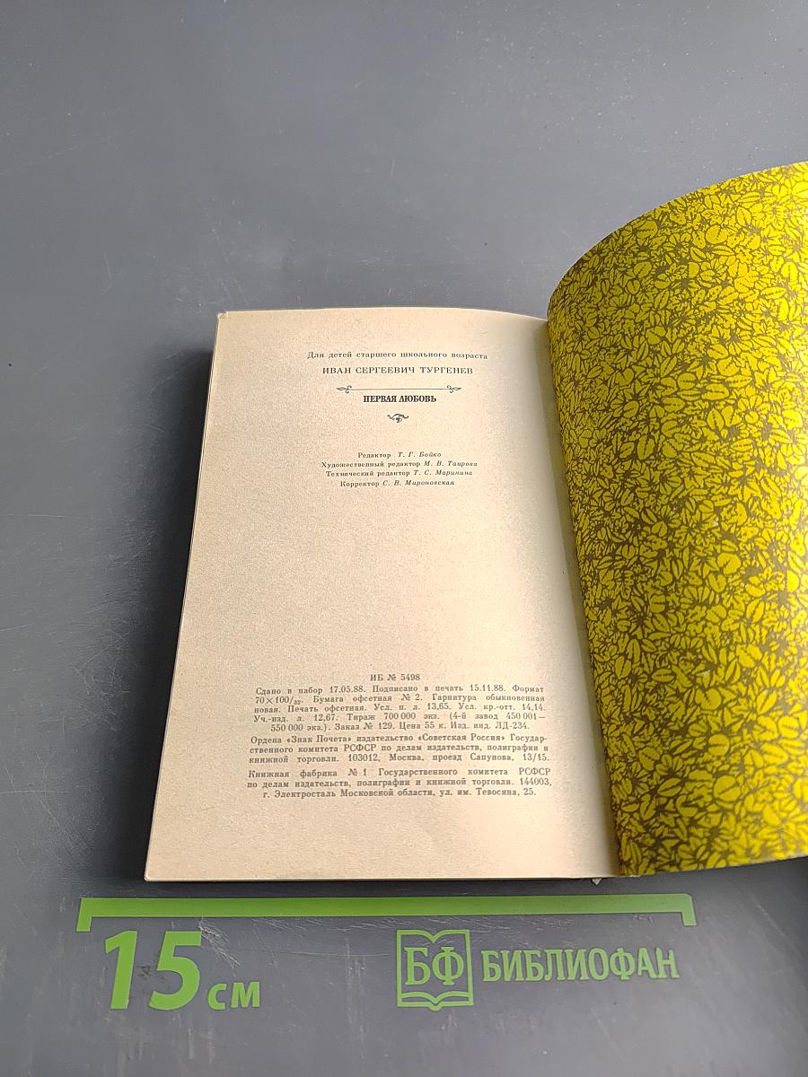 Первая любовь