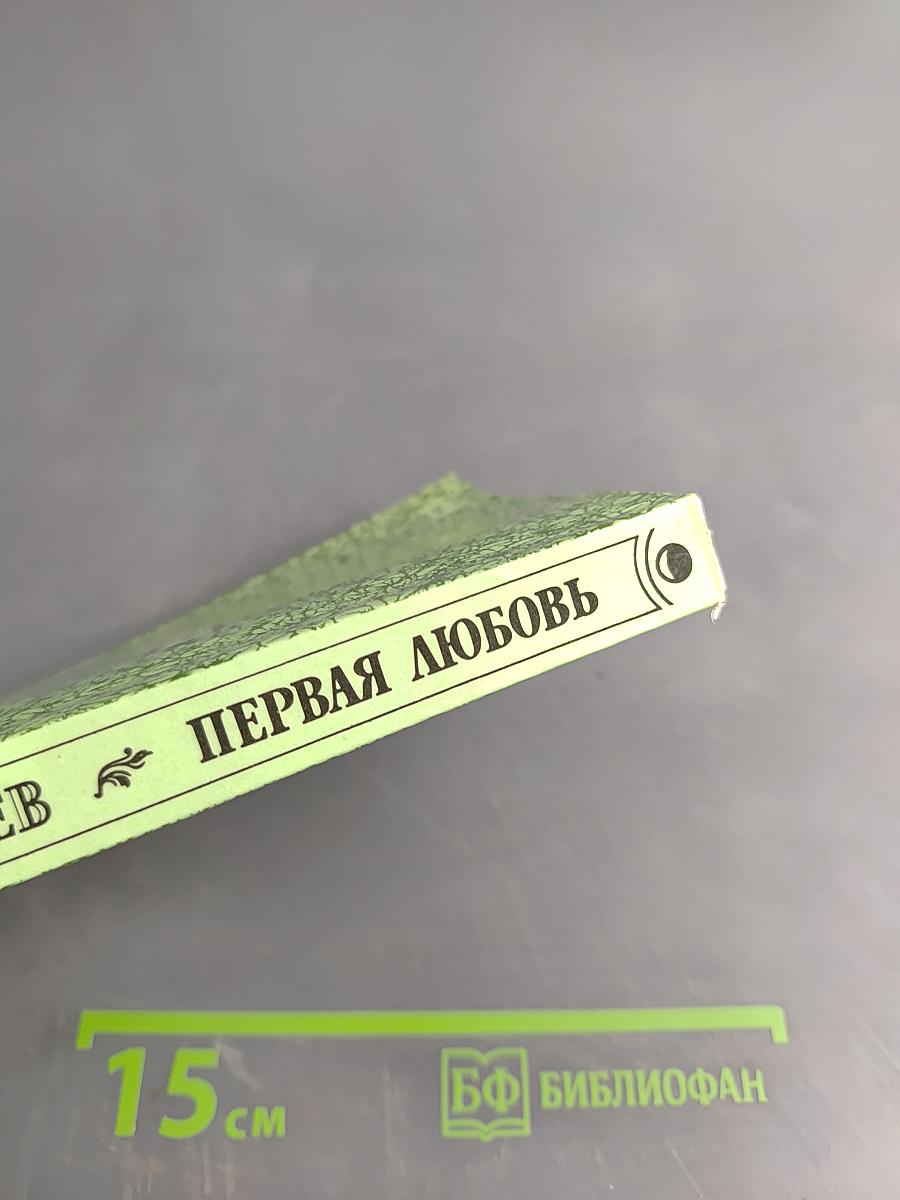 Первая любовь