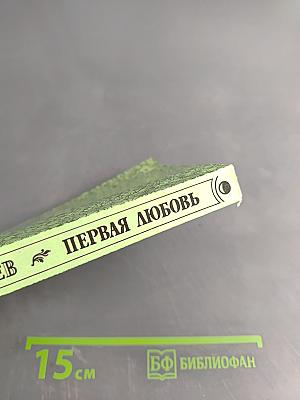 Первая любовь