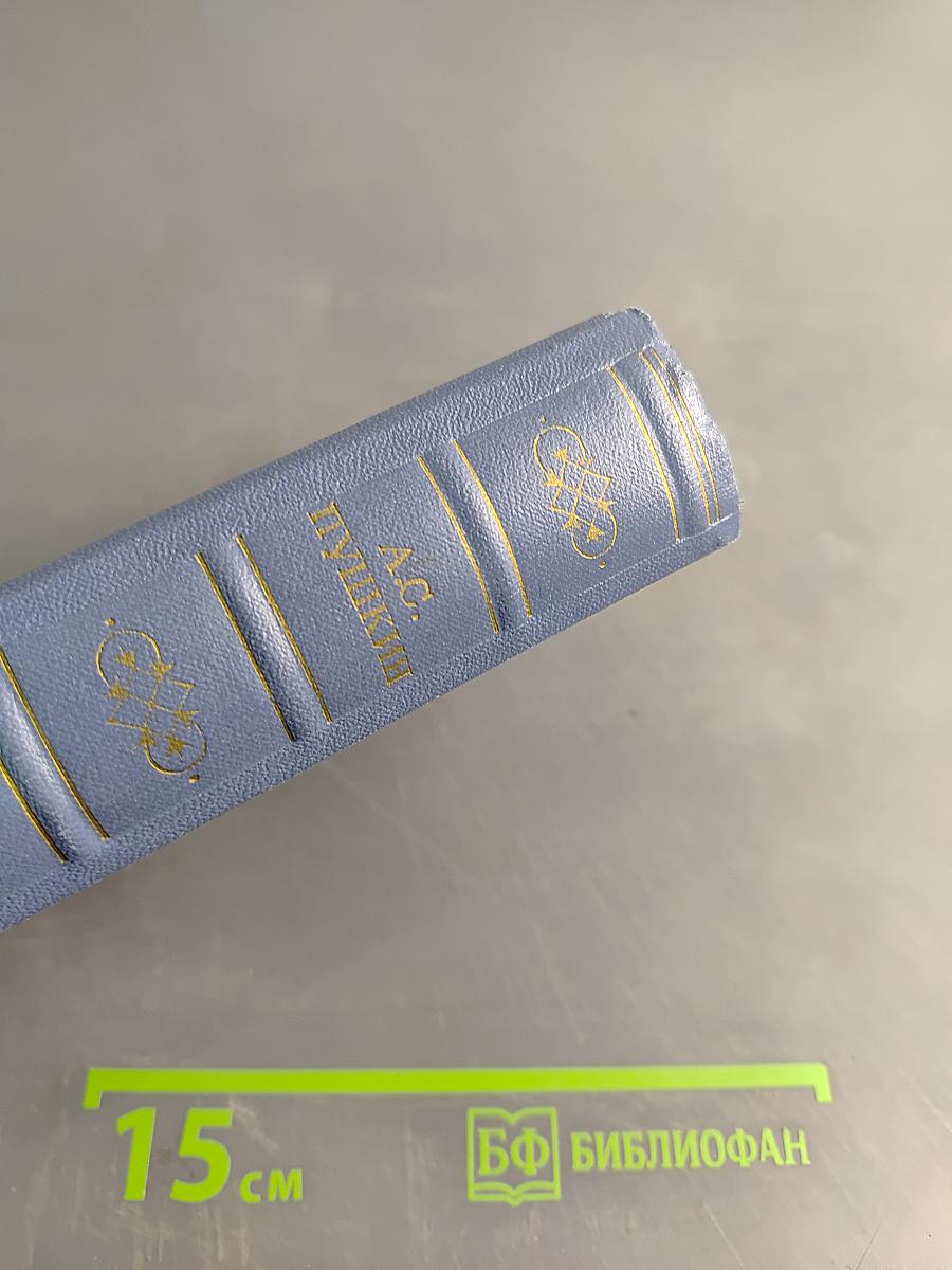 А.С. Пушкин. История Петра. Заметки о Камчатке. Том девятый