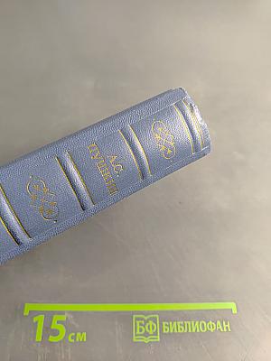 А.С. Пушкин. История Петра. Заметки о Камчатке. Том девятый