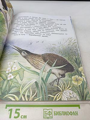 Книга рассказов и сказок о природе