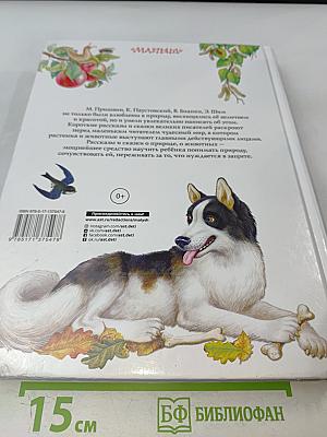 Книга рассказов и сказок о природе