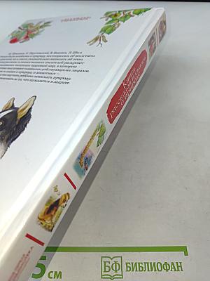 Книга рассказов и сказок о природе