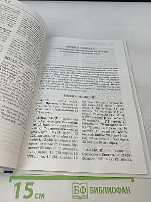 Практическая энциклопедия православного христианства. Основы церковной жизни