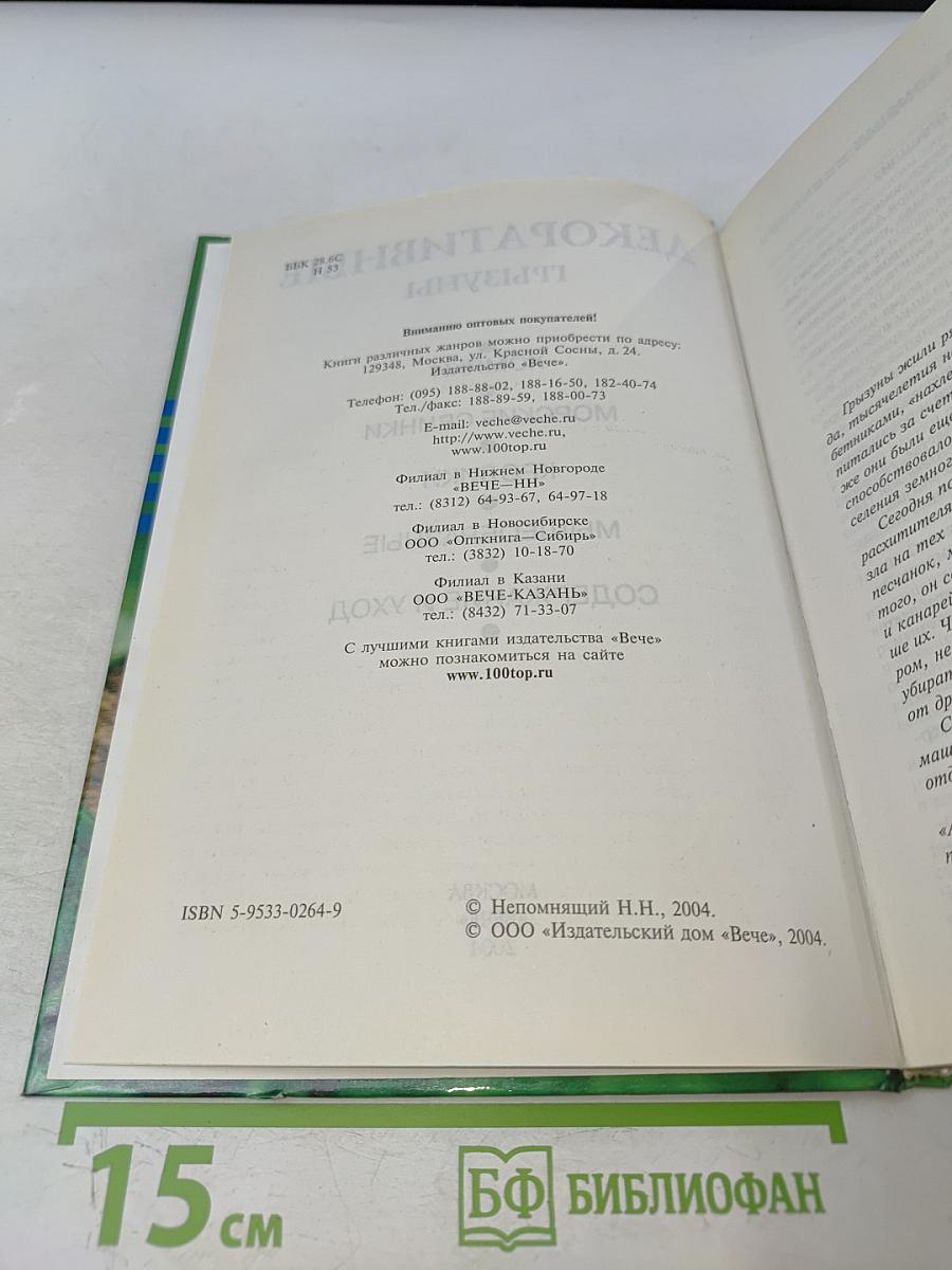 Декоративные грызуны