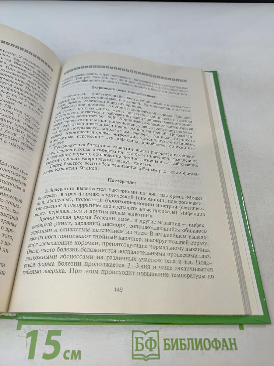 Декоративные грызуны