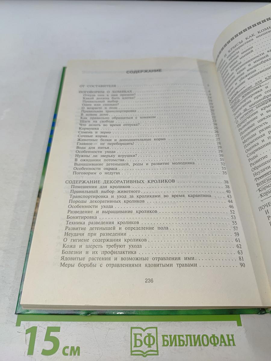 Декоративные грызуны