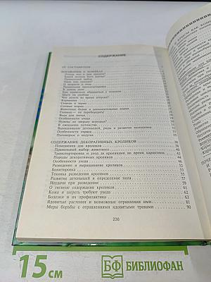 Декоративные грызуны