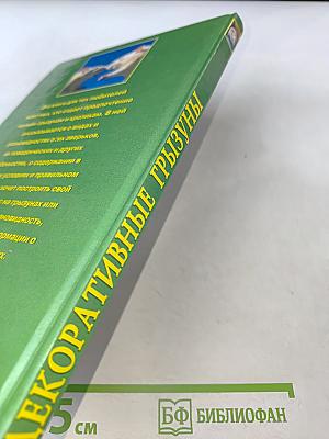 Декоративные грызуны