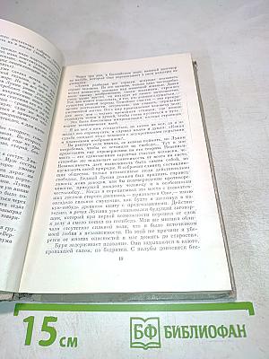 Твой девятнадцатый век