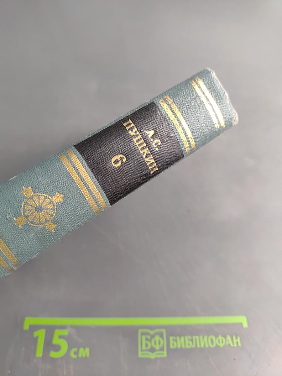 Собрание сочинений в десяти томах. Том 6. Критика, публицистика, историческая проза