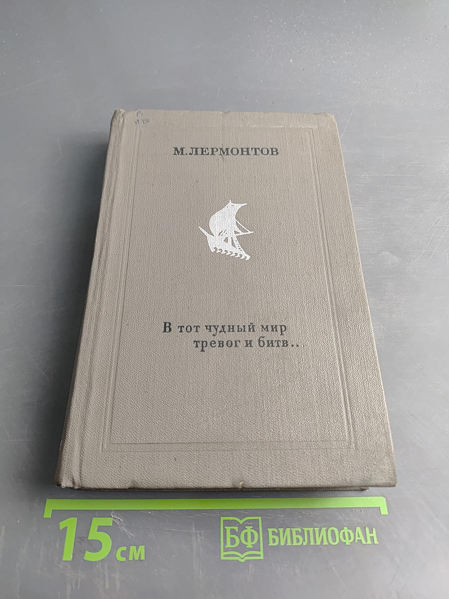 В тот чудный мир тревог и битв...