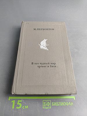 В тот чудный мир тревог и битв...