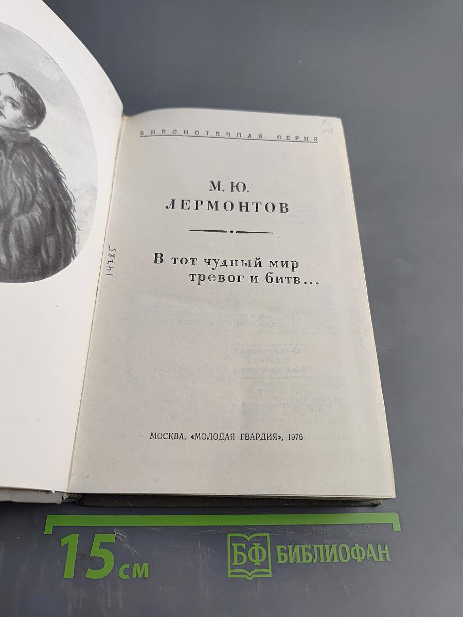 В тот чудный мир тревог и битв...
