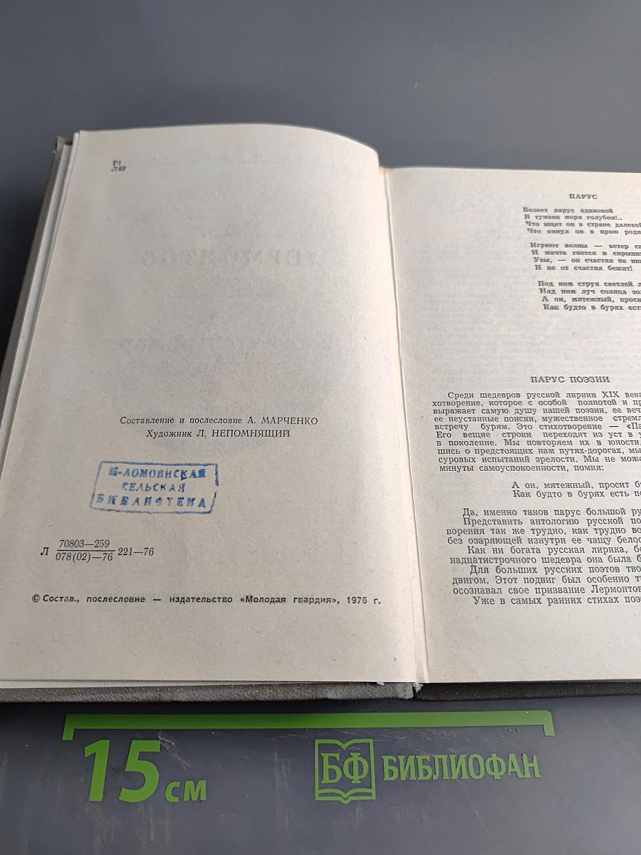 В тот чудный мир тревог и битв...