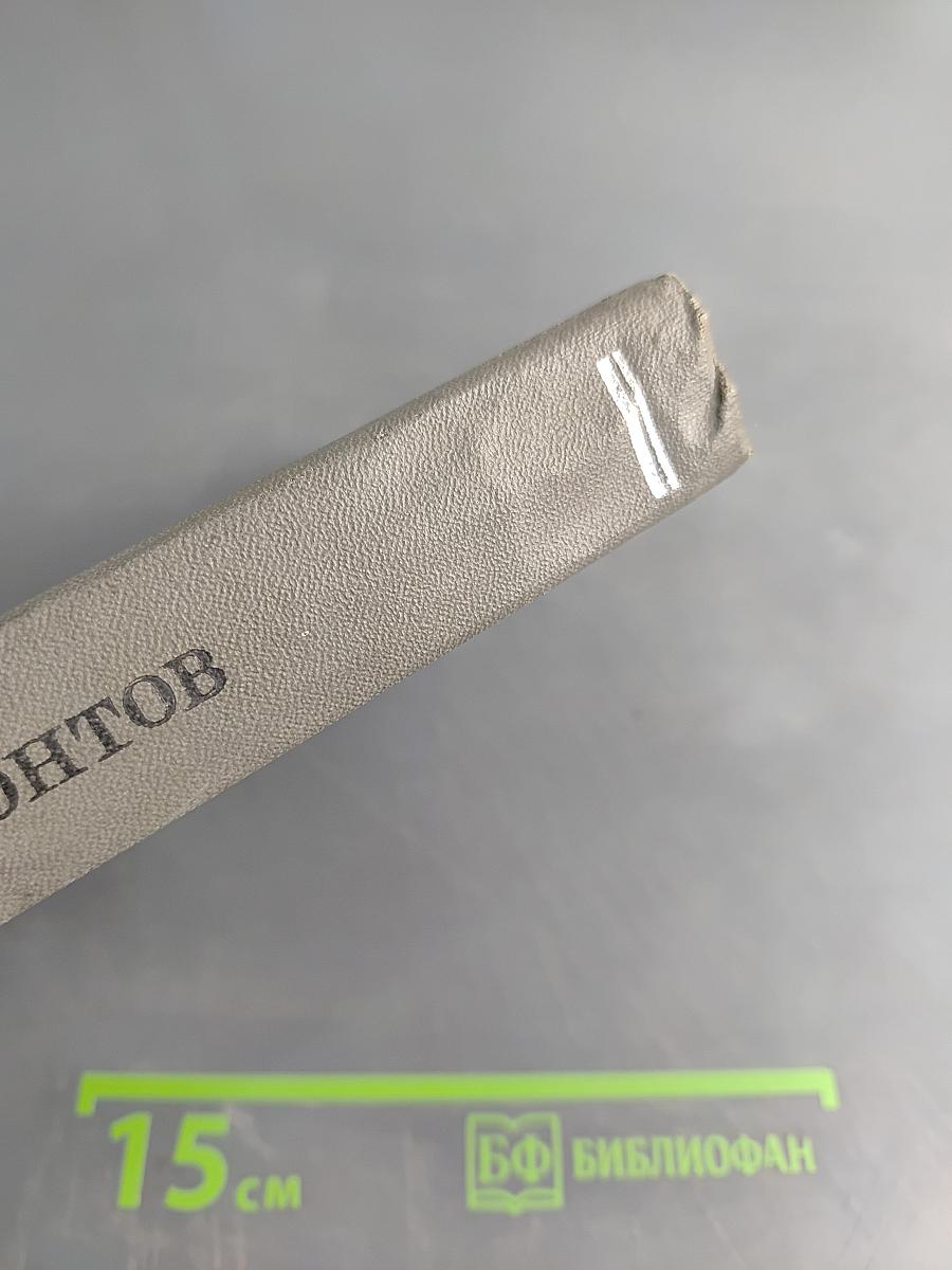 В тот чудный мир тревог и битв...