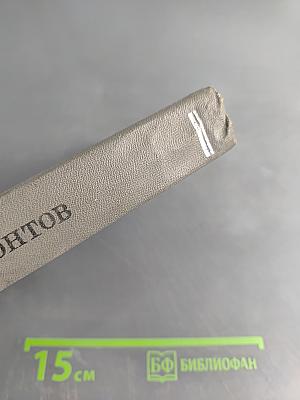 В тот чудный мир тревог и битв...