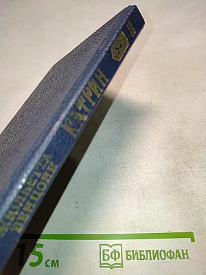 Катрин. Роман в 7 книгах. Книга 7