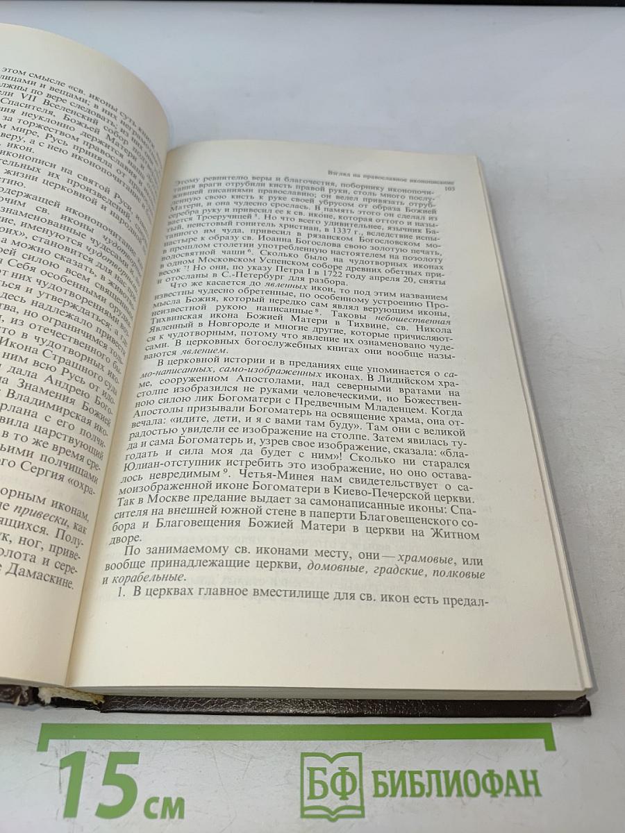 Философия русского религиозного искусства XVI-XX вв.