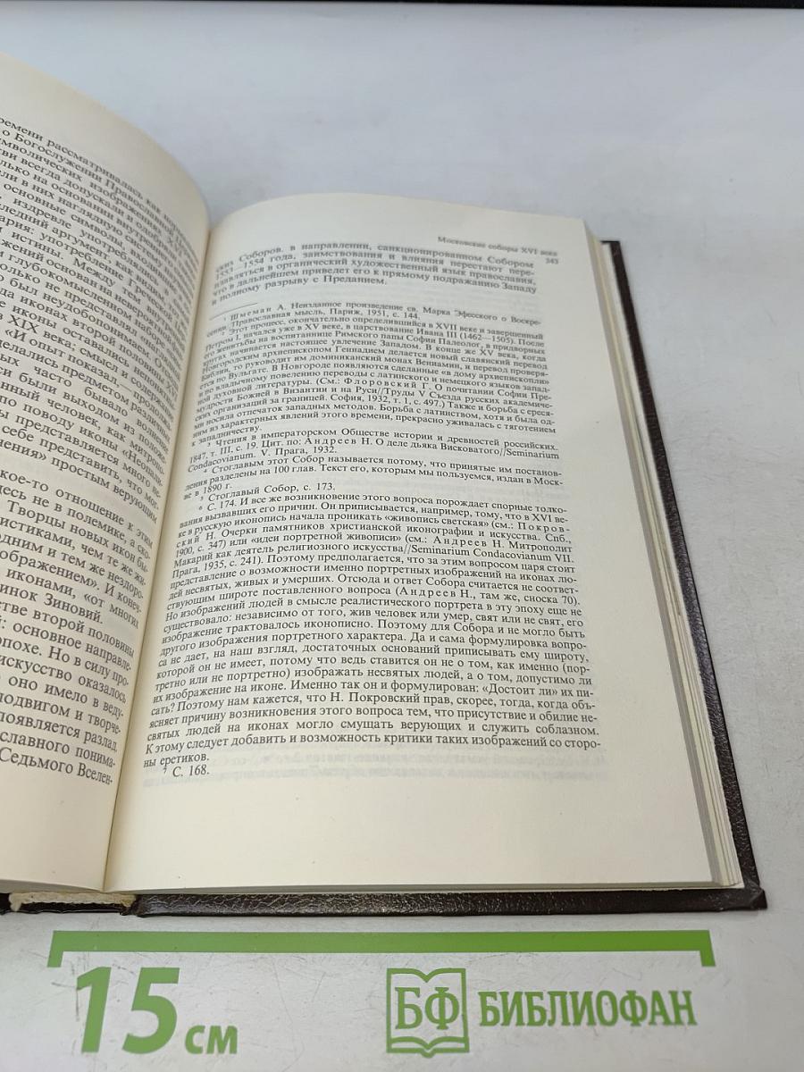 Философия русского религиозного искусства XVI-XX вв.