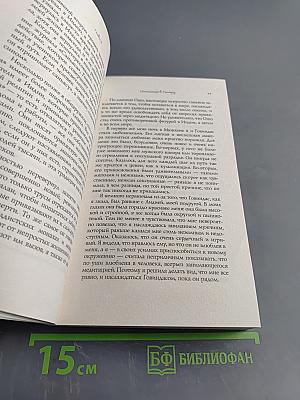 Тантра – любовь, духовность и новый чувственный опыт