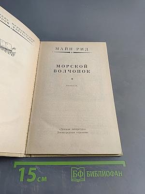 Морской волчонок