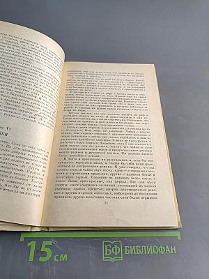 Морской волчонок