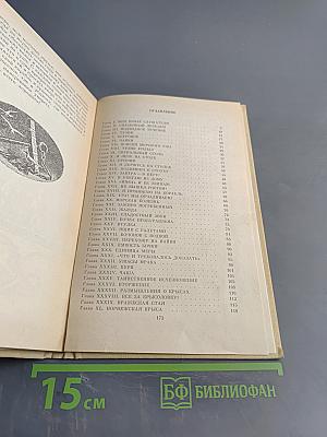 Морской волчонок