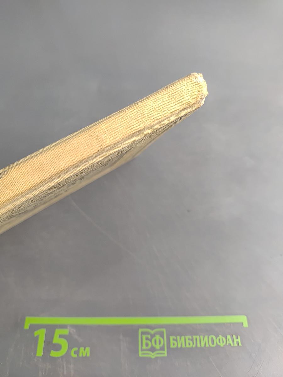 Морской волчонок