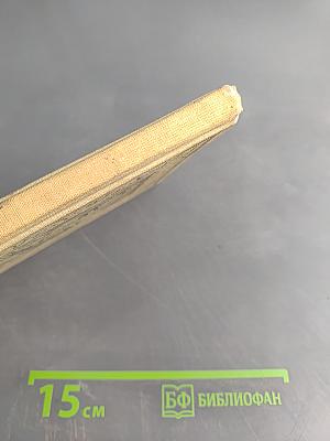 Морской волчонок