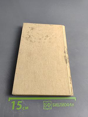 Морской волчонок