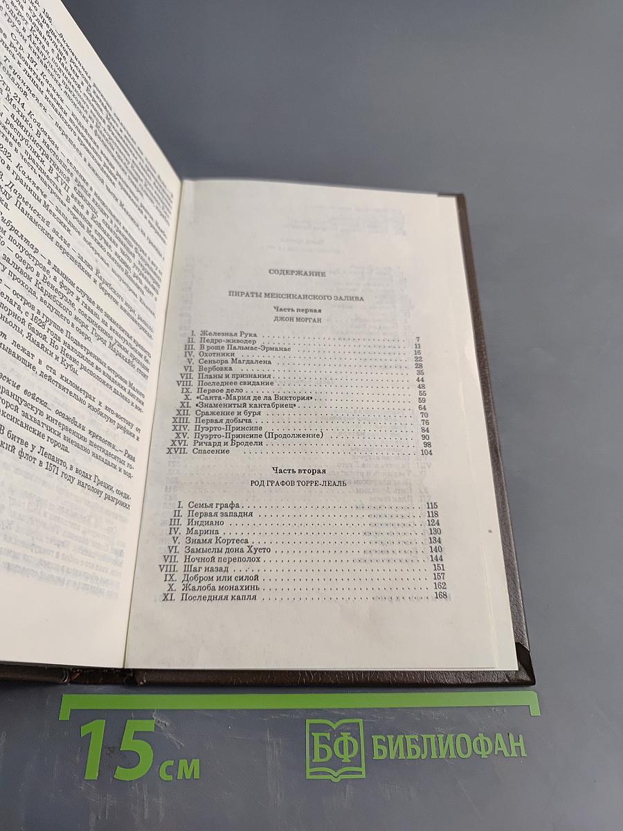 Пираты Мексиканского залива