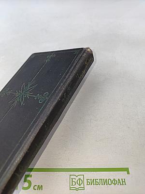 Три мушкетера. Том II