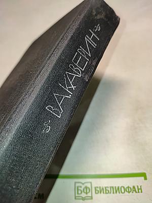 Скверный анекдот. На Васильевском острове. Исполнение желаний