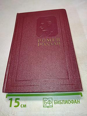 Собрание сочинений. Том одиннадцатый. Очарованная душа. Книга четвертая. Том второй. Роды