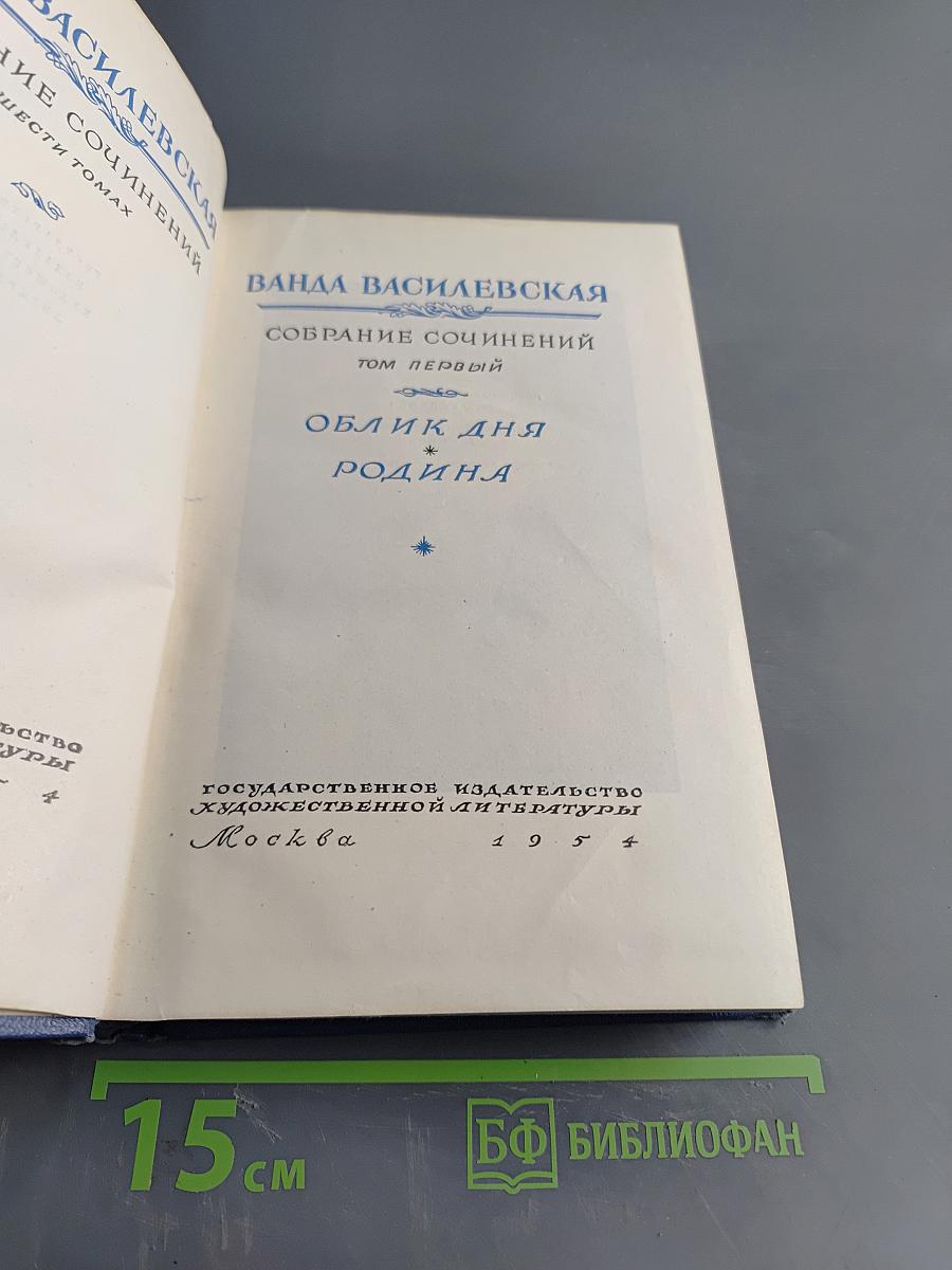 Собрание сочинений. Том первый. Облик дня. Родина