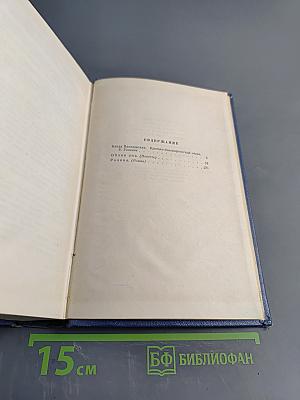 Собрание сочинений. Том первый. Облик дня. Родина