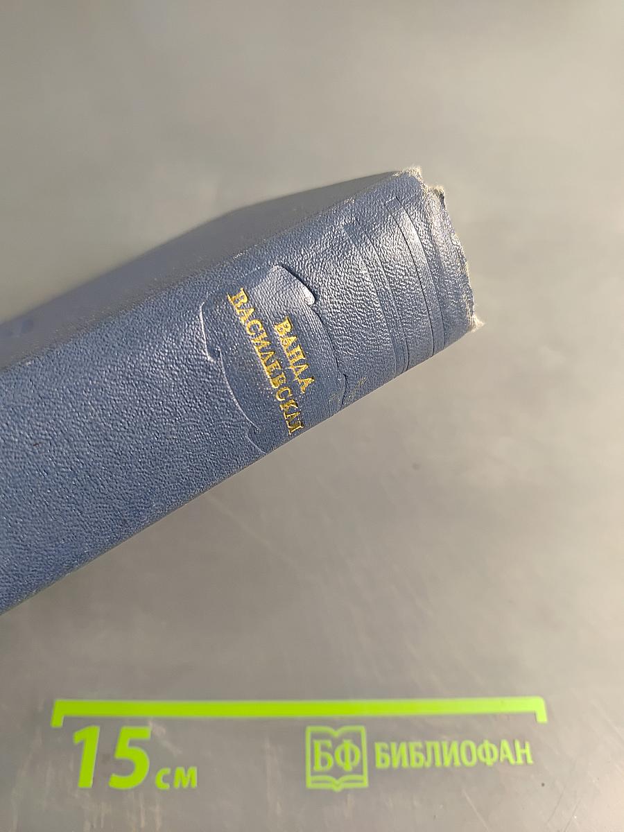 Собрание сочинений. Том первый. Облик дня. Родина