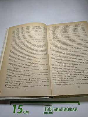 Князь Серебряный. Посадник. Стихотворения. Былины. Баллады. Избранные письма