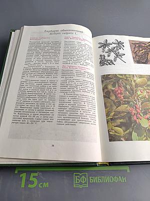 Лекарственные растения