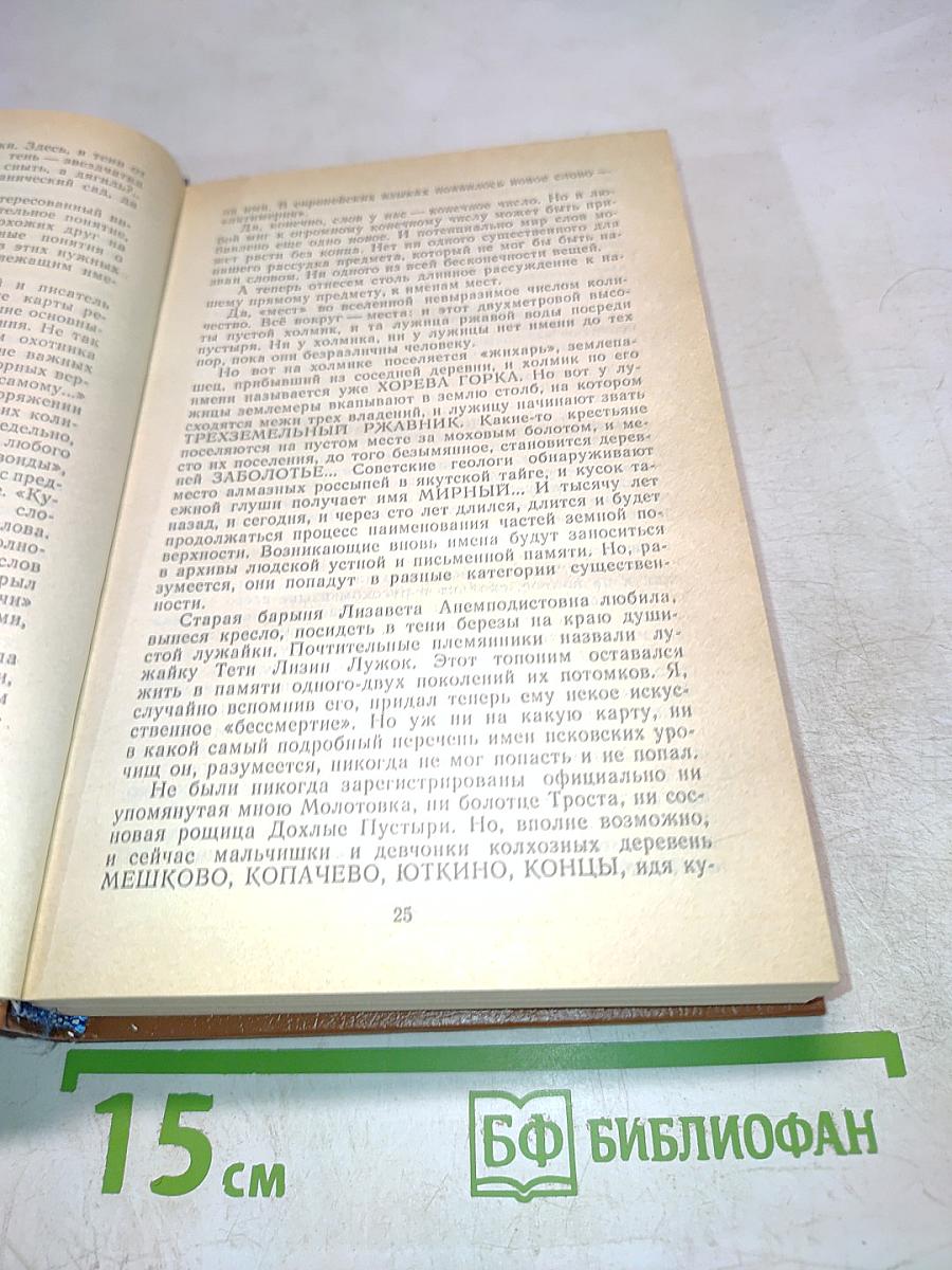 За языком до Киева