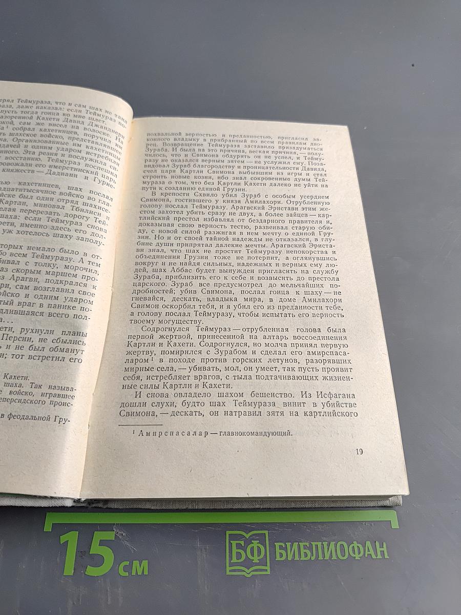 Пламенем испепеленные сердца